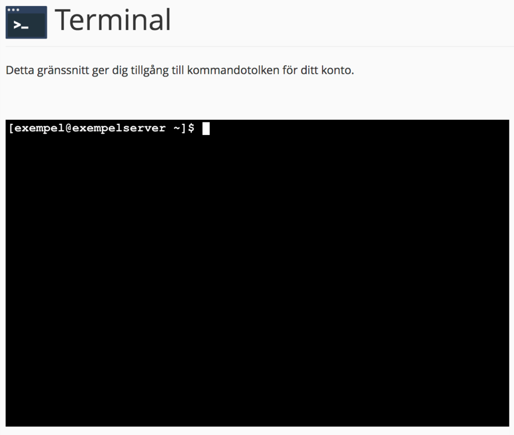 Terminalsession &ouml;ppnad